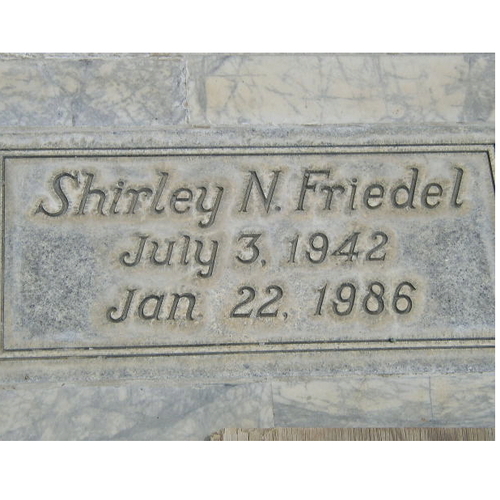 Shirley N. Friedel Student Scholarship